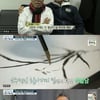 '마이웨이' 박일남, 남진과 특별 우정.."월남전 보낼때 눈물"[★밤TView]