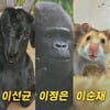 "유인나가 팬더?"..'미스터주' 역대급 목소리 캐스팅