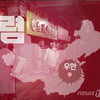 '우한 폐렴' 발원지 중국 우한 위치는?