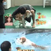 '나혼자산다' 성훈 반려견 양희, 첫 입수+수영 성공[별별TV]