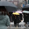 기상청 "전국 겨울비, 낮기온 포근"..오늘의 날씨, 미세먼지 '좋음'