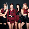 YG, 신인 걸그룹 준비 중..블랙핑크 이후 4년만(공식)