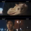 '어서와' 신예은, 알레르기 有 서지훈 대신 고양이 보호