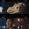 첫방 '어서와' 김명수, 신예은 생각과 다른 고양이..앞으로는? [★밤TV]