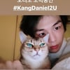 강다니엘, 반려묘 오리와 다정하게 셀카 찍는 '사모예드녤'