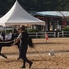 ‘제9회 말산업 국가자격시험’ 서류 접수 개시