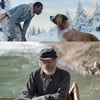 해리슨 포드 주연 '콜 오브 와일드', 5월 14일 개봉 [무비타이밍]