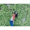 정려원, 싱그러운 매력 뿜뿜하는 로맨틱 일상..'워너비 여신'