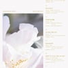 트와이스 새 앨범 타이틀곡 박진영 작사·편곡..트랙리스트 공개