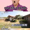 '구해줘홈즈' 힐링 별채+비밀 정원, '소나무 단층주택' 최종 선택[★밤TView]
