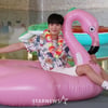 JR '홍학 타고 더위 날려요'[★포토]