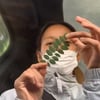 이효리 "상순은 날 안 좋아한다?" 꽃잎점에 동공지진..빵터진 이상순