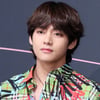"특히 태형을 위해서라면" 방탄소년단 뷔에 적극 구애한 에어비엔비