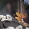 '그것이 알고 싶다' 제주 보육교사 살인사건..진범은 누구인가