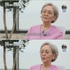 '마이웨이' 김영옥, 나이 상관 無 임영웅 성덕 "팬심은 이런 것" [★밤TView]