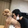 엑소 세훈, 반려견 무슈에 입맞춤..'달달+다정' 눈빛