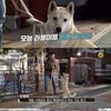 '개훌륭' 강형욱, 공격적 진돗개→텐션과다 시베리안 허스키 훈련[★밤TView]