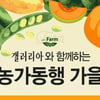 갤러리아, 25일부터 가을 정기세일