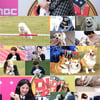'아멍대' 김우석X따따의 커플 댄스..主전犬전 매력 폭발