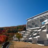‘한국판 블프’하이원리조트도 동참 