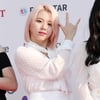 트와이스 채영, 침화사와 열애설..JYP 침묵에 궁금증 증폭[종합]