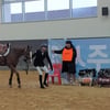 마사회, 경주퇴역 승용마 안정성 및 능력평가 시행