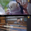 '도도솔' 이재욱, 고아라에 혈액암 숨긴 채 "유튜브 개널 축하"
