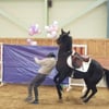 퇴역 승용마 품평회 성료