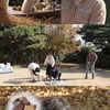 '개훌륭', 강형욱도 놀란 송로버섯 탐색견..라고토 로마뇰로