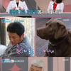 '펫비타민' 강성진, 반려견에 리액션 요청 "대본 좀 맞춰달라" [별별TV] 