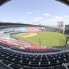 도쿄 올림픽 취소되면 KBO 리그는 어떻게 되나