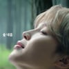 방탄소년단 지민, 현대차 티저 속 신비로운 '숲의 정령' 비주얼.."이것이 힐링이다"