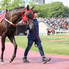 ‘글로벌축제’ 교배활동 본격 투입