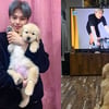 박은석, 반려동물 파양 인정..진심어린 사과 통할까 [★FOCUS]