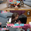'동상이몽2' 전진♥류이서→조갑경♥홍서범, 위기 일발 부부[★밤TV]