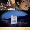 가평 로트와일러 맹견 개물림 사건 단독 공개 [개훌륭]
