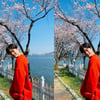 송강, 벚꽃 아래 빛나는 잘생김 "눈이 안 떠져"[스타IN★]