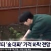 샤이니 키, 뉴스 등장..파테크 실패? 가격하락에 "실화야?" [스타IN★]