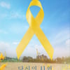 세월호 7주기 '당신의 사월' 공동체 상영 실관람객 1만명 돌파