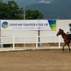 한국마사회, 기승능력인증 자율 승마시설 모집