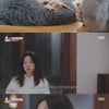 '동물농장' 이효리 "3647일 함께 한 순심이, 다시 만난다면.." [종합]