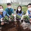 KT&G, 가화만社성 프로그램으로 화훼농가 지원 앞장
