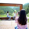 6월은 샤스타가 있는 하이원으로