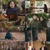 '이 구역의 미친 X' 정우, 오연서만의 보디가드 '서로 위안'