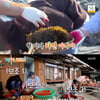 '1박2일' 김종민→스태프 권기종, 대환장 가족오락관..'포복절도'[★밤TView]