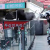 '코로나 취소' 잠실·대전 경기, 내일은 할 수 있나요?