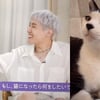 "오빠, 감사합니다" 방탄소년단 제이홉 '고레 나니 네코' 노래에 日창작자 귀여운 감사 영상