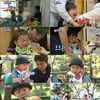 '슈돌', 유튜브 채널 오픈..'삼둥이' 미공개 영상 대공개