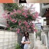 '정경호♥' 수영, 172cm의 모델 포스..막 찍어도 화보[스타IN★]