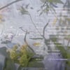 엔쿠스, 8월 14일 컴백 확정…"퍼포먼스 돌의 귀환" [공식]